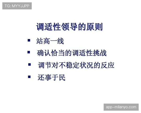 挑战判罚规则的具体定义是什么以及实际执行标准详解